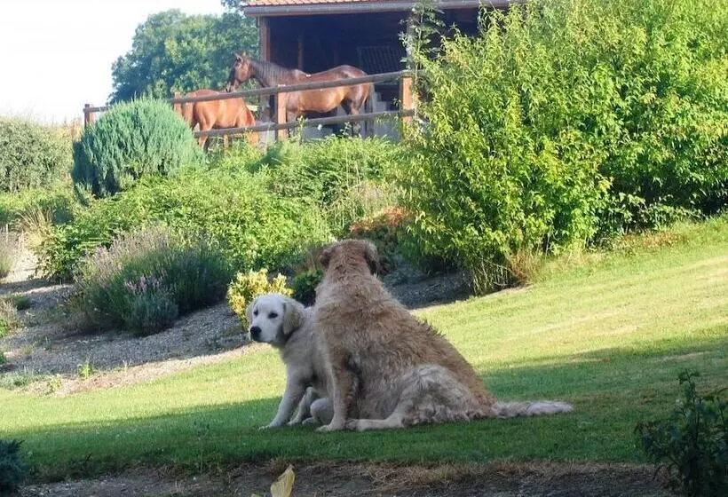 Hotelli Gite Hôtel Chambre D  Hôtes Et Roulottes Et Du Ternois