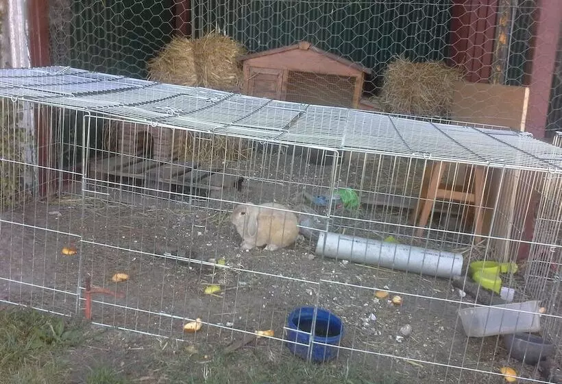 Hotelli Gite Hôtel Chambre D  Hôtes Et Roulottes Et Du Ternois