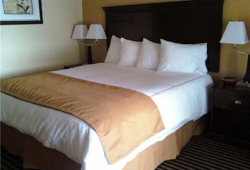 酒店 Howards On The River