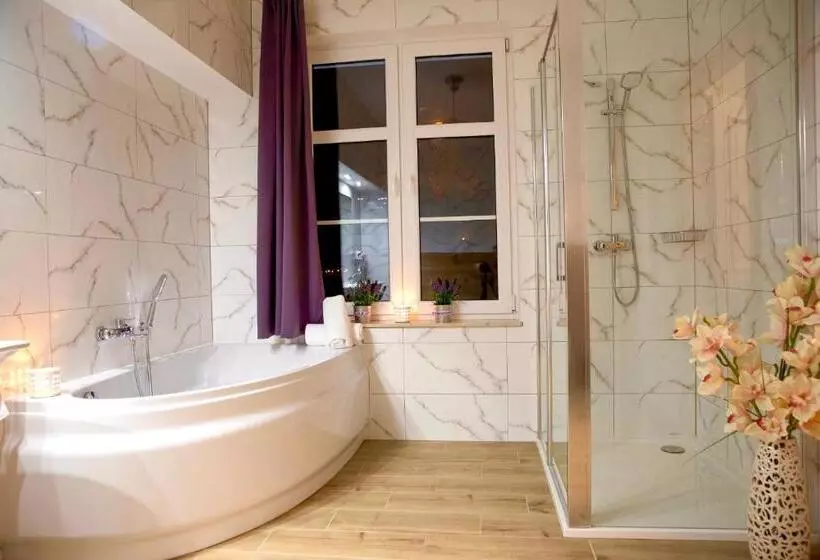 ホテル Nadodrzański Dwór   Nowa Sól