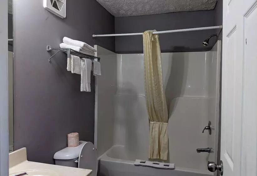 Motelli Reelfoot Lake Inn