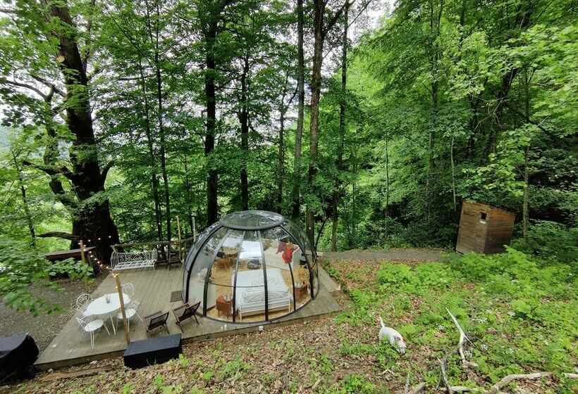 بنسيون Le Perchoir Des Pyrénées