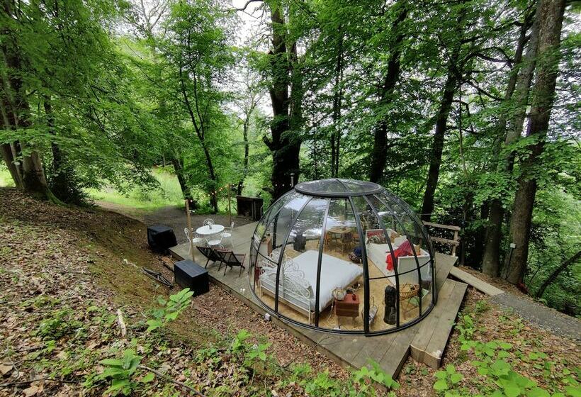 بنسيون Le Perchoir Des Pyrénées