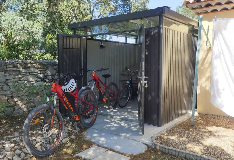 膳宿费 Les Cigales