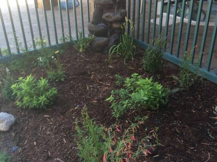 בית מלון כפרי Mountainback At Mammoth