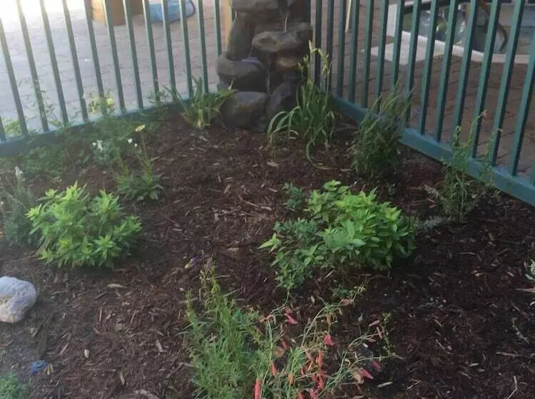 בית מלון כפרי Mountainback At Mammoth