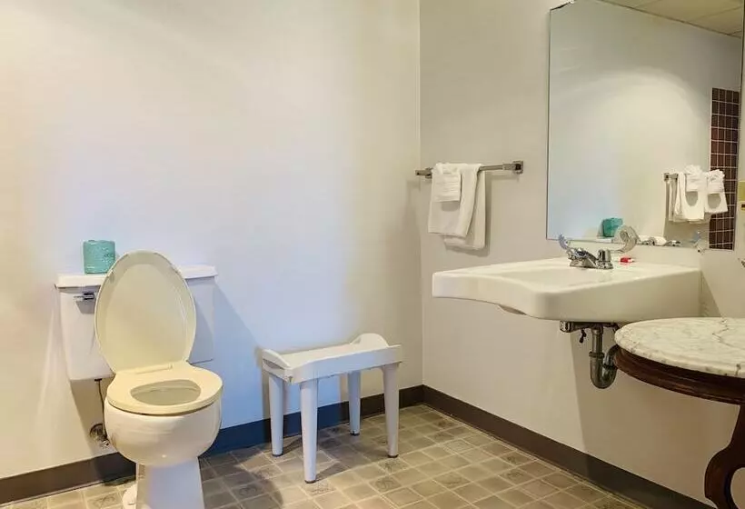 בית מלון כפרי Olde Amish Inn