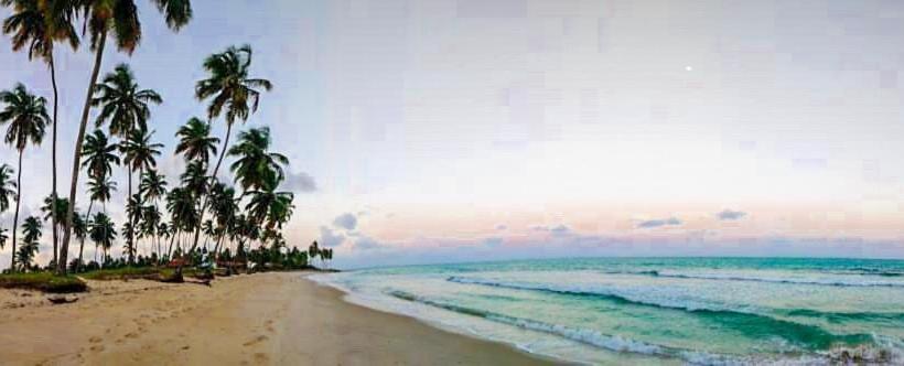 ペンション Refúgio Dos Carneiros Guesthouse