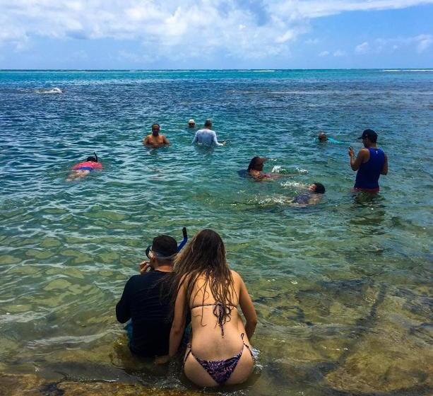 ペンション Refúgio Dos Carneiros Guesthouse