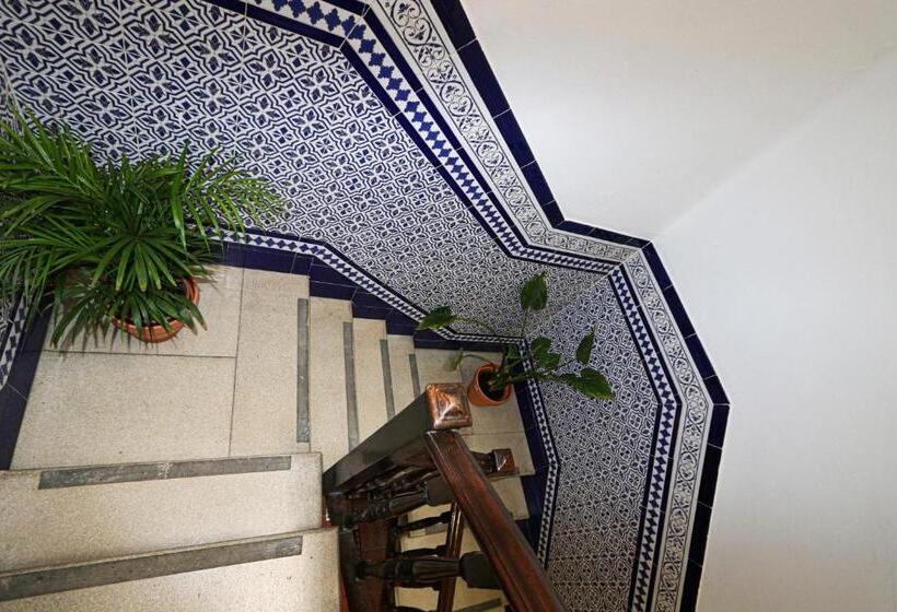 پانسیون Sweet Sevilla Hostel