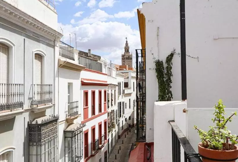 پانسیون Sweet Sevilla Hostel