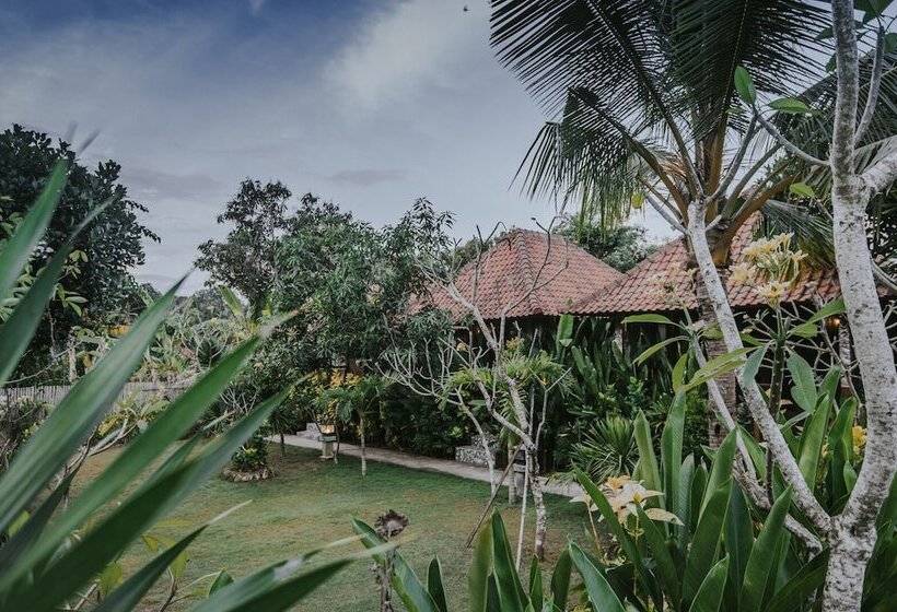 بنسيون Nerima Hut Lembongan