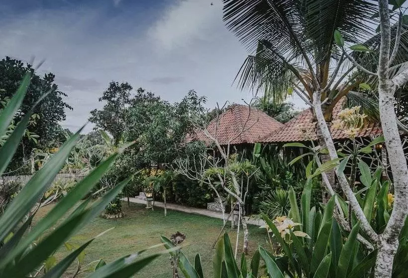 ペンション Nerima Hut Lembongan