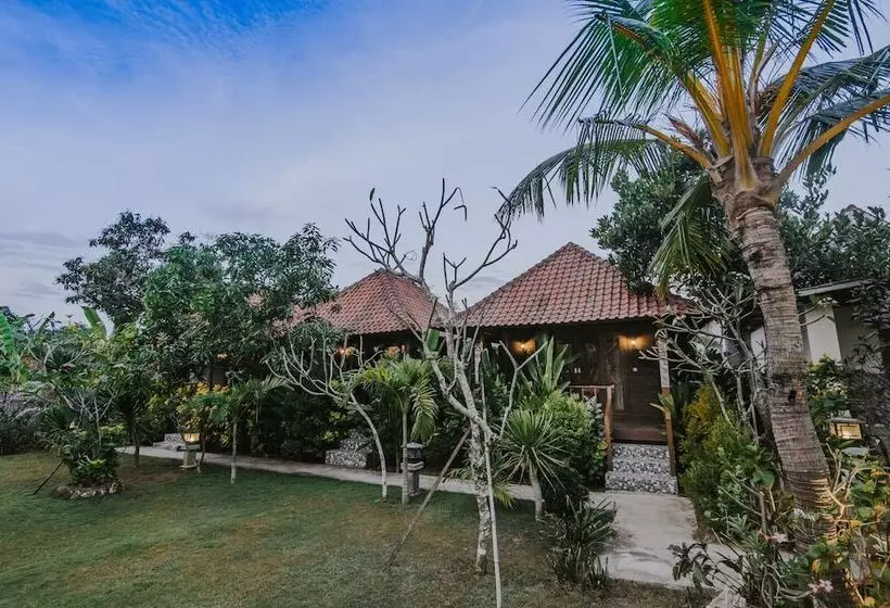ペンション Nerima Hut Lembongan