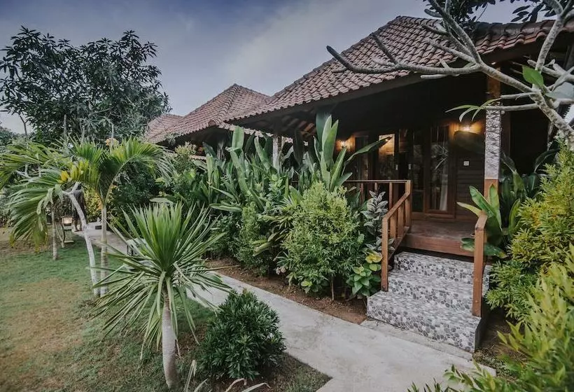 ペンション Nerima Hut Lembongan