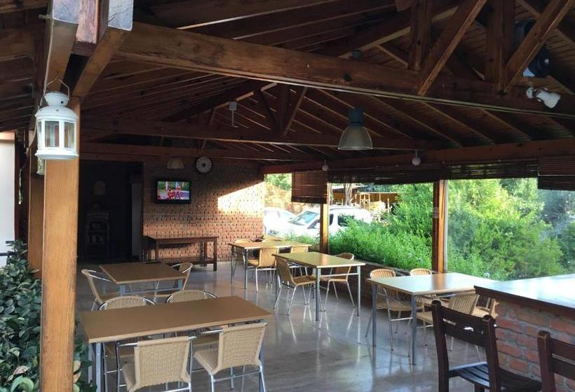 تختخواب و صبحانه Görkem Apart Otel