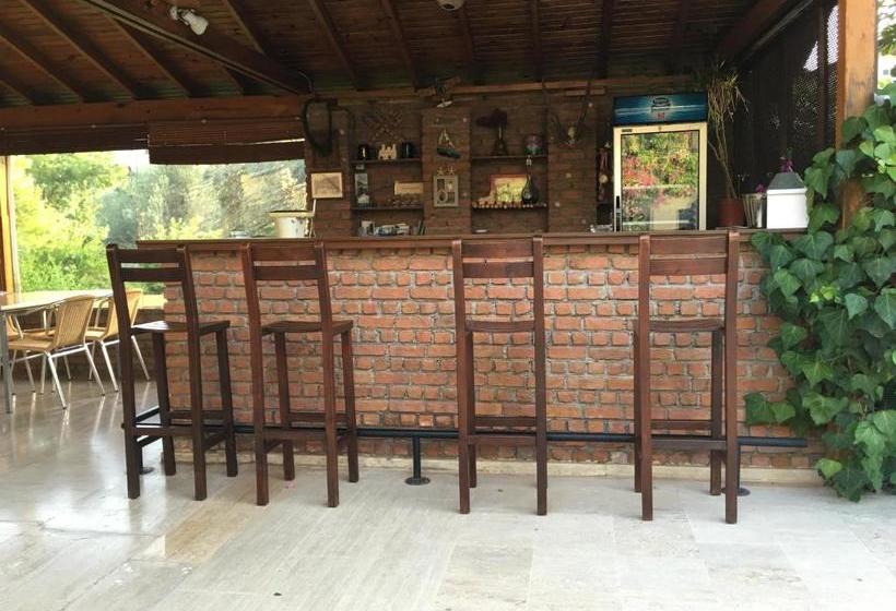 تختخواب و صبحانه Görkem Apart Otel