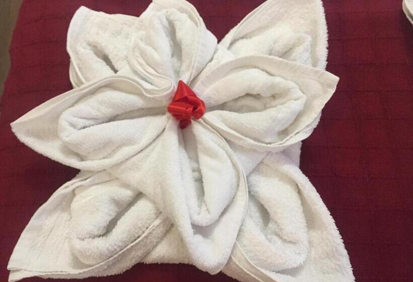 Hostal Boutique Luna De Gavín