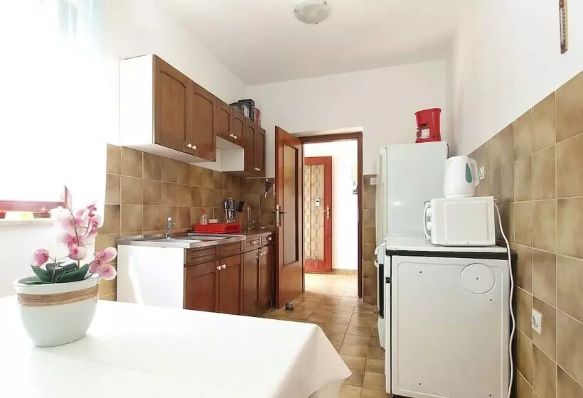Apartment Dragana 1490