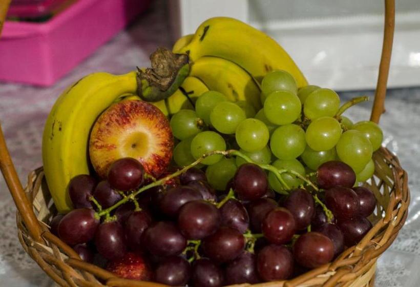 호텔 Pousada Beira Rio