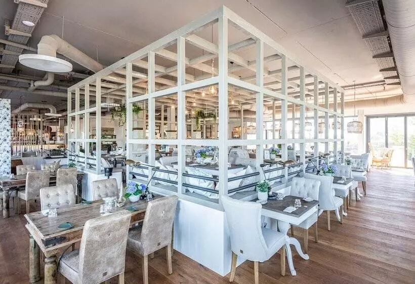 Papa Rhein   Hotel & Spa