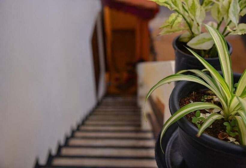 فندق Wagon Wheel Inn   Hostel