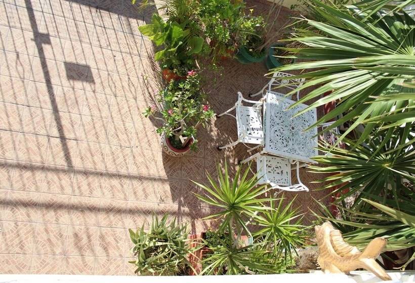 Bed and Breakfast Cancun Guest House 3 Near Ado Bus Terminal And 25 Min From/to Airport By Shuttle