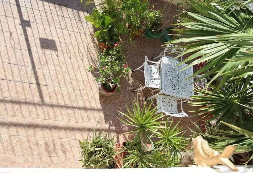 تختخواب و صبحانه Cancun Guest House 3 Near Ado Bus Terminal And 25 Min From/to Airport By Shuttle