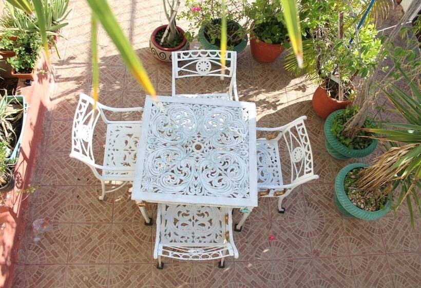 Bed and Breakfast Cancun Guest House 3 Near Ado Bus Terminal And 25 Min From/to Airport By Shuttle