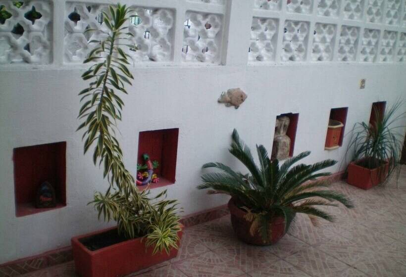 Bed and Breakfast Cancun Guest House 3 Near Ado Bus Terminal And 25 Min From/to Airport By Shuttle