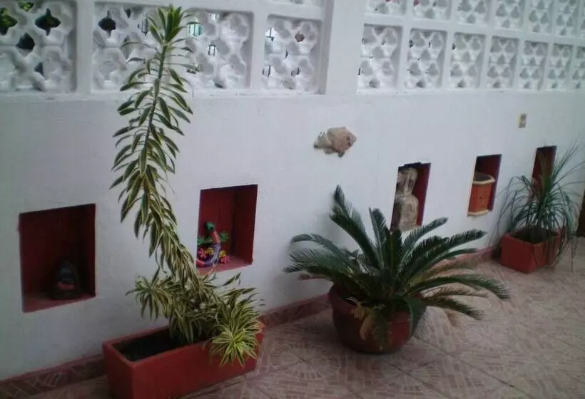 تختخواب و صبحانه Cancun Guest House 3 Near Ado Bus Terminal And 25 Min From/to Airport By Shuttle