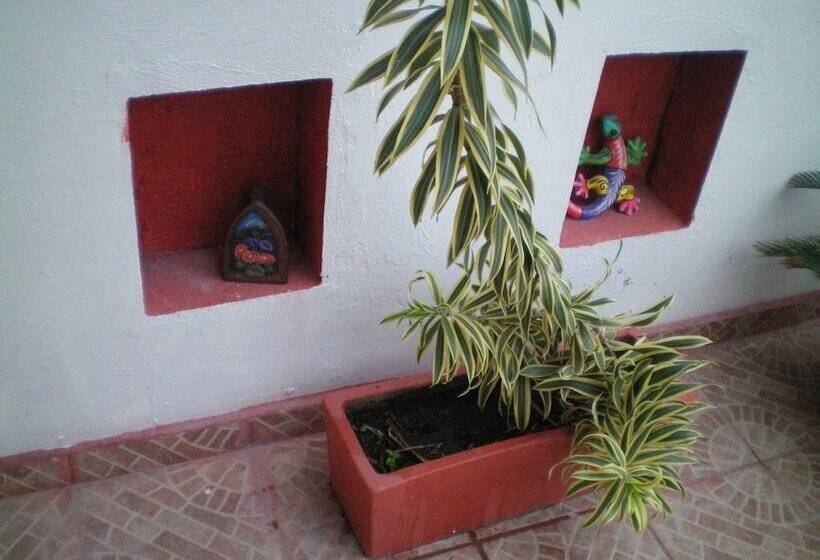 Bed and Breakfast Cancun Guest House 3 Near Ado Bus Terminal And 25 Min From/to Airport By Shuttle