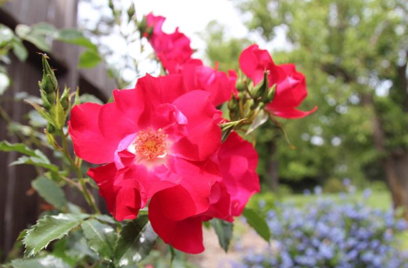 ホテル Outlook Inn