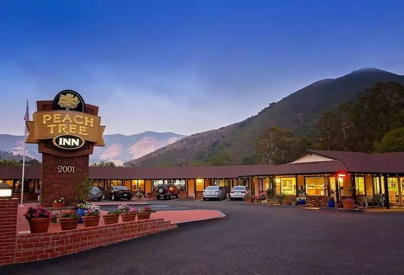 Hotelli Peach Tree Inn