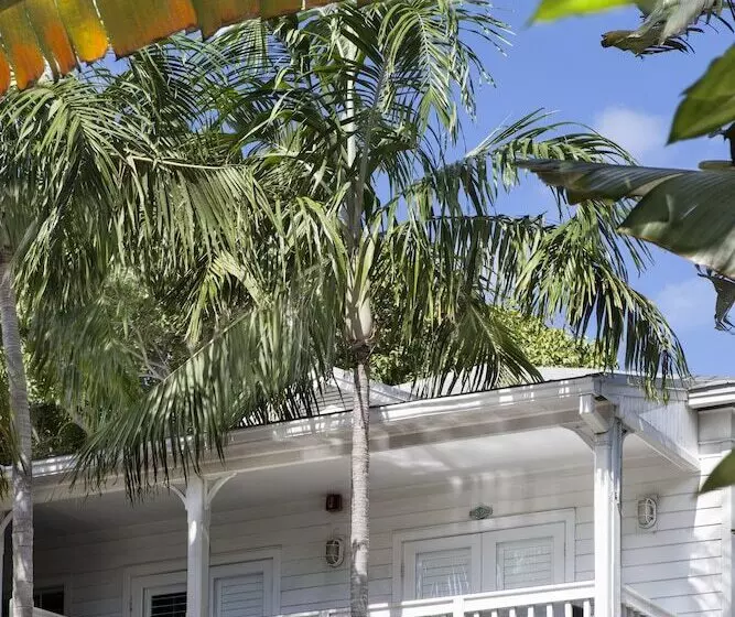 هتل Paradise Inn   Adult Exclusive