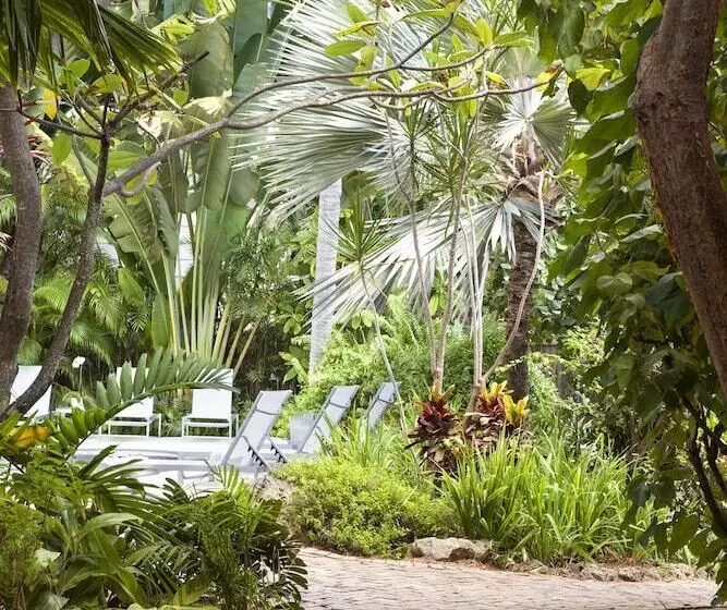 هتل Paradise Inn   Adult Exclusive