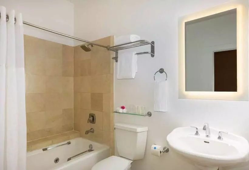 هتل Paradise Inn   Adult Exclusive