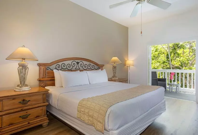 هتل Paradise Inn   Adult Exclusive