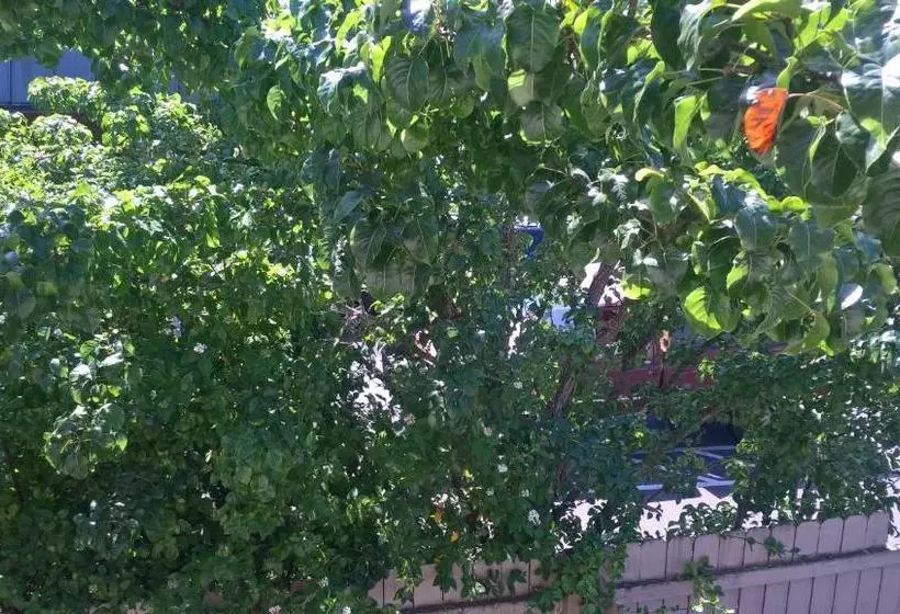 Motel 6 Mcminnville, Or