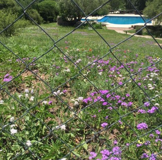 Hostel Hosteria Rukalaf