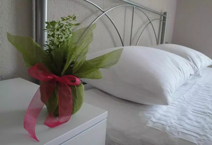 Amaryllis Studios