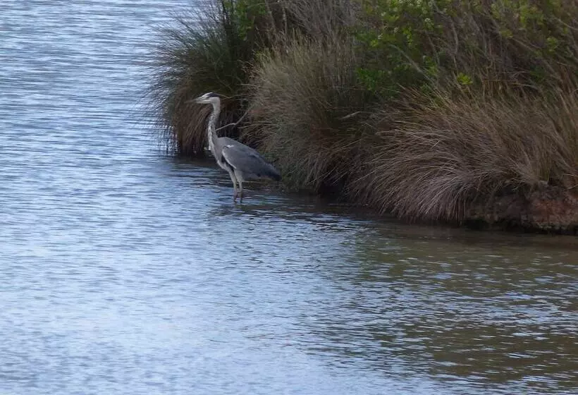 تختخواب و صبحانه La Chambre D Hotes Chez Titi