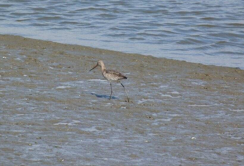 住宿加早餐 La Chambre D Hotes Chez Titi