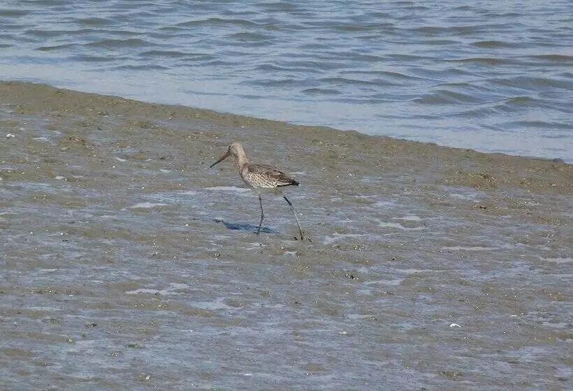 تختخواب و صبحانه La Chambre D Hotes Chez Titi