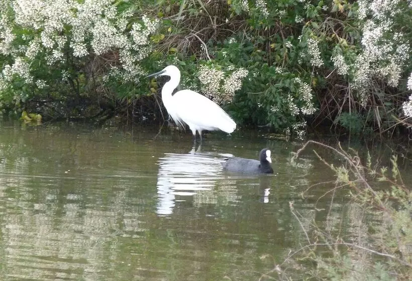 تختخواب و صبحانه La Chambre D Hotes Chez Titi