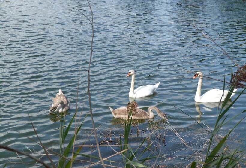 住宿加早餐 La Chambre D Hotes Chez Titi