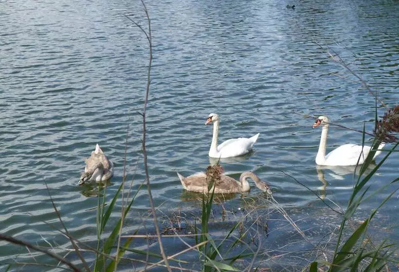 تختخواب و صبحانه La Chambre D Hotes Chez Titi