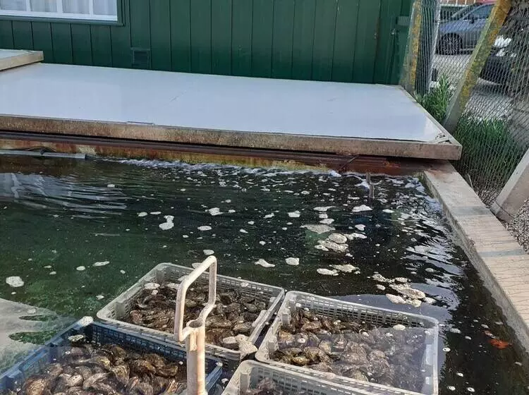 تختخواب و صبحانه La Chambre D Hotes Chez Titi