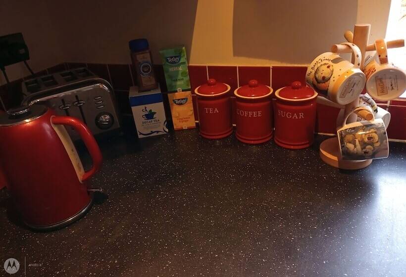 住宿加早餐  The Willow