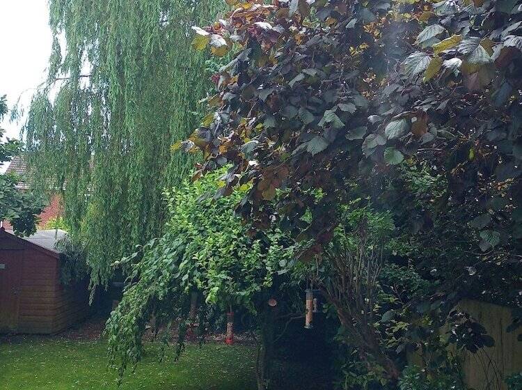 住宿加早餐  The Willow